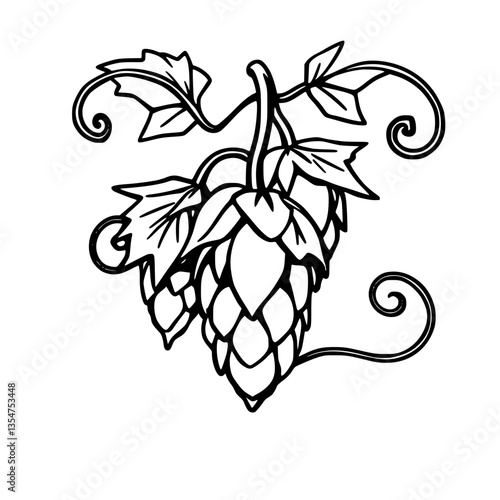 Intricate Hops Illustration A Botanical Artistry Capturing Nature s Bounty in Exquisite Lines