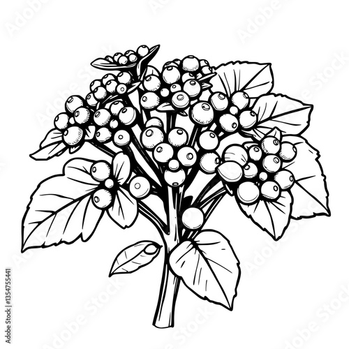 Vibrant Bunch of Berries and Leaves A Black and White Botanical Illustration Celebrating Nature