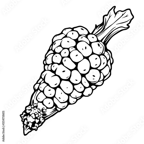 Monochrome Illustration of a Plump and Luscious Cauliflower a Culinary Delight for Plant-Based D