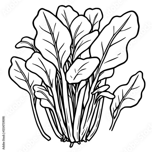 Vibrant Greens A Botanical Illustration of Leafy Splendor Adorning Nature s Culinary Delights