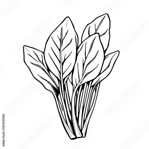 Elegant Botanical Illustration Lush Leaves in Striking Monochrome Portraying Nature s Grace