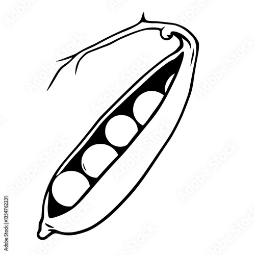 Striking Monochrome Graphic of an Open Peapod Symbolizing Nature s Bounty and Organic Simplicity