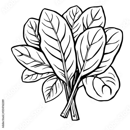Elegant Botanical Wonder A Striking Illustration of Lush Leafy Foliage Unfurling in Black and W
