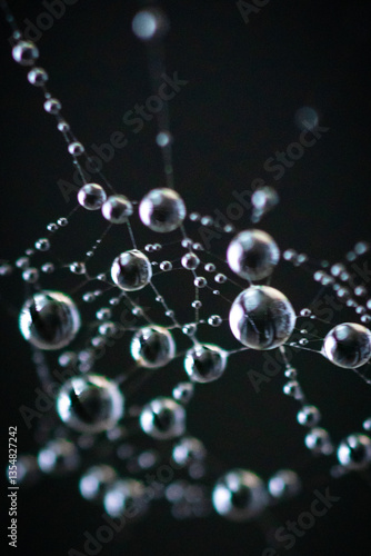 drops of water on spider webbing