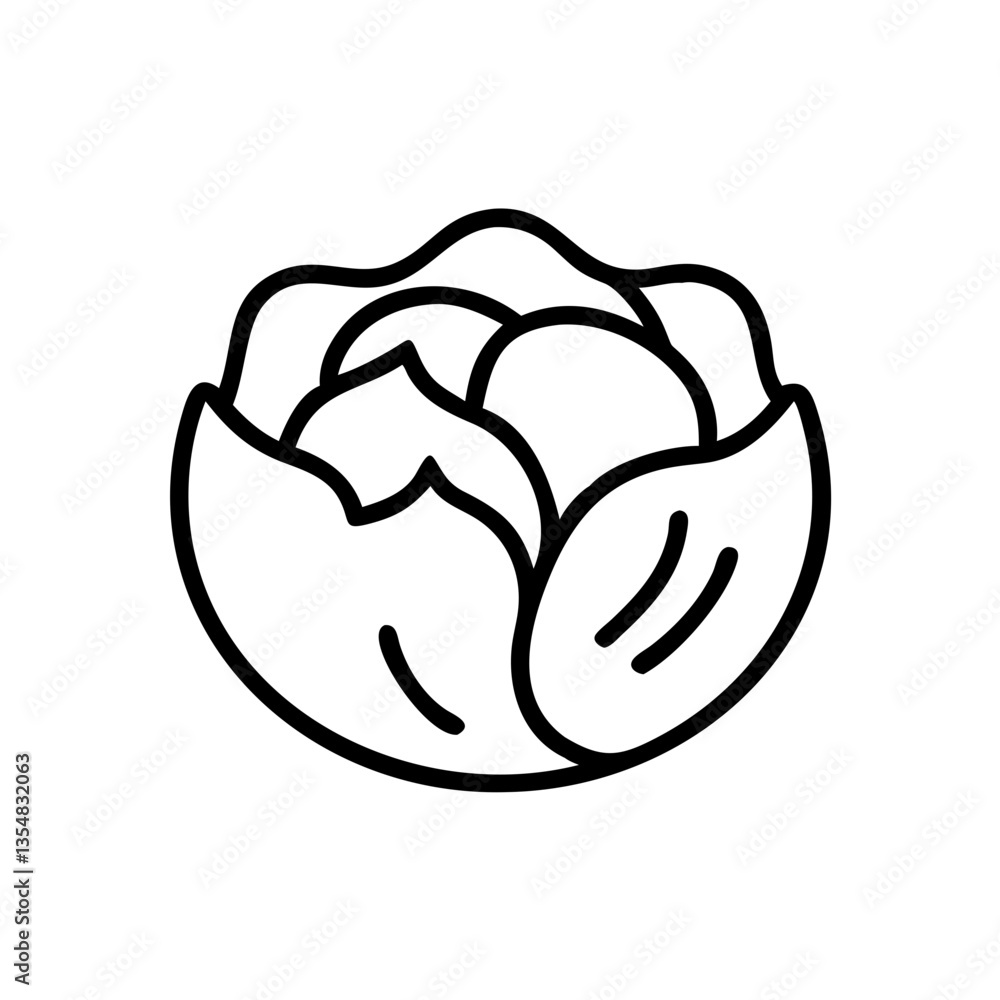 Cabbage Cabbage