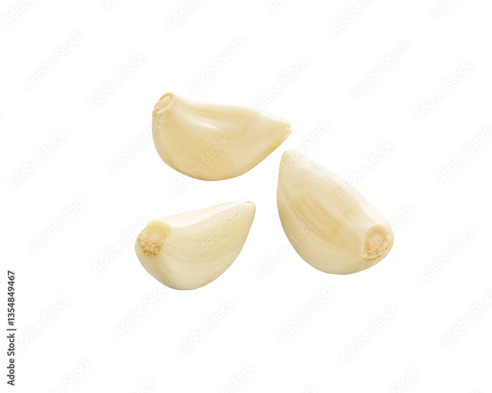 Garlic isolated set. Garlic isolated set.