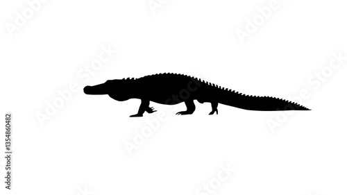 Animation with an alligator walking on the white background (seamless loop)