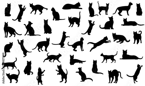 Canvas Print silhouettes of cats