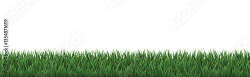 green grass isolated on white background