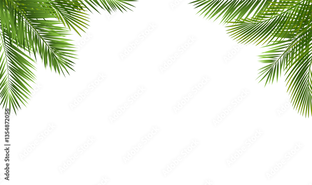 Tropical Palm Tree Frame And Isolated White Background Tropical Palm Tree Frame And Isolated White Background