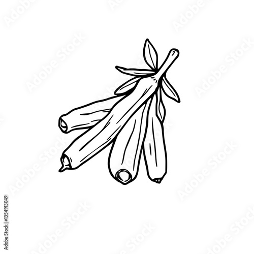 Aromatic Bundle of Dried Vanilla Beans Culinary Delight
