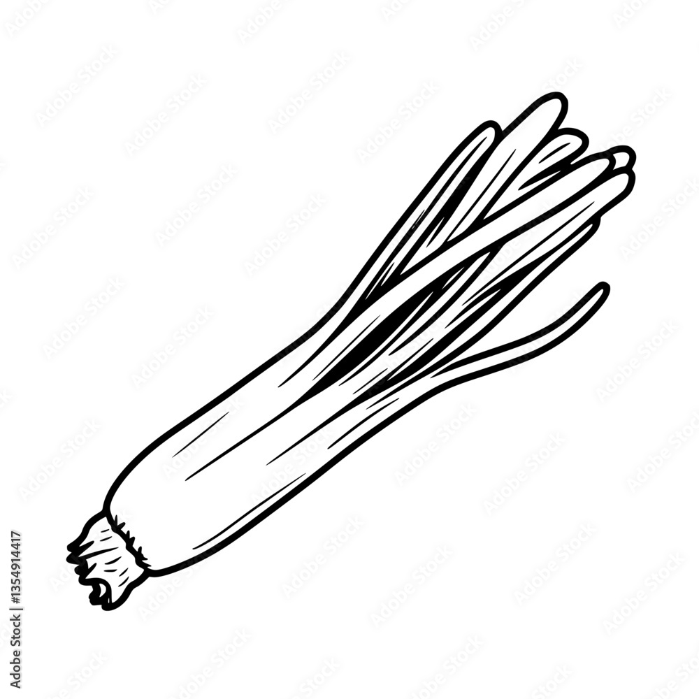 Fresh Green Scallions A Vibrant Culinary Delight Ready to Use Fresh Green Scallions A Vibrant Culinary Delight Ready to Use
