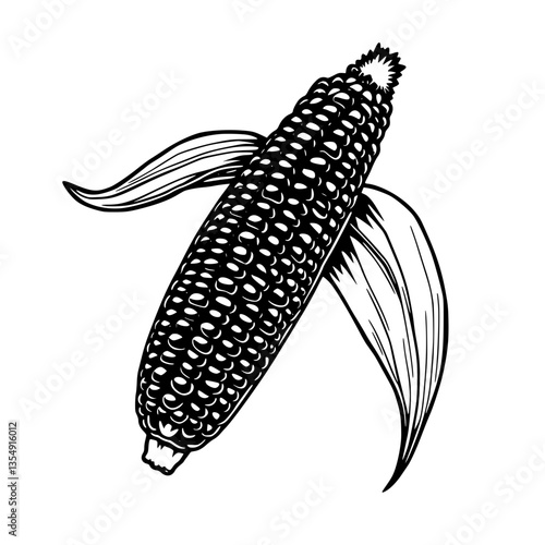 A Striking Black and White Illustration of an Ear of Corn Perfectly Detailed and Visually Appea