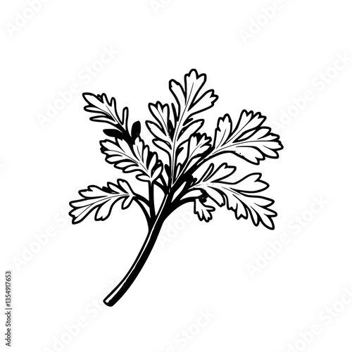 Fresh Cilantro Sprig Vibrant Green Herb Illustration