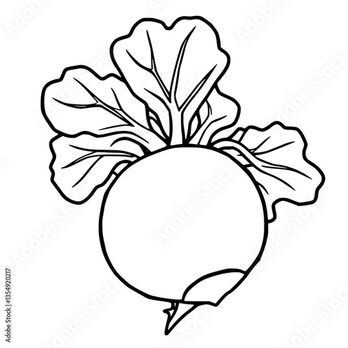 Freshly Harvested Turnip with Lush Green Leaves Ready to Eat
