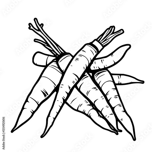 Freshly Harvested Carrots A Bountiful Bunch of Organic Vegetables