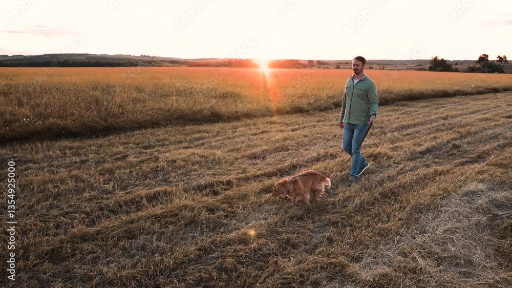 Man walks cute cocker spaniel dog on leash in field with mown grass at sunset light owner rests walking red spaniel dog in rural park man with dedicated spaniel dog in country park on weekend Man walks cute cocker spaniel dog on leash in field with mown grass at sunset light owner rests walking red spaniel dog in rural park man with dedicated spaniel dog in country park on weekend
