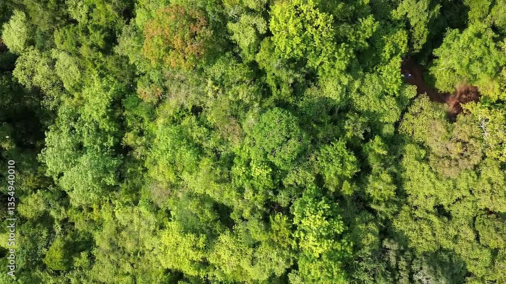 Rainforest in a natural area of Sri Lanka. Taken from the sky with a drone on a sunny day. Rainforest in a natural area of Sri Lanka. Taken from the sky with a drone on a sunny day.