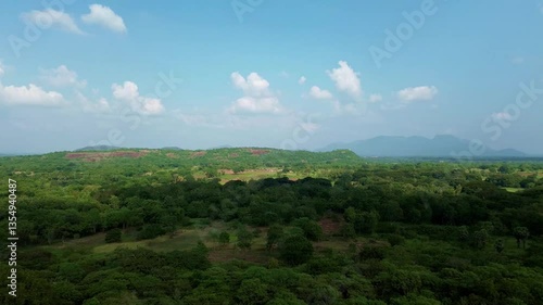 Wallpaper Mural Rainforest in a natural area of Sri Lanka. Taken horizontally with a drone on a sunny day. Torontodigital.ca