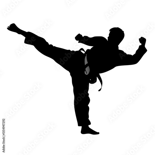 a silhouetted martial artist in action performing a powerful kick, demonstrating dynamic movement and skill