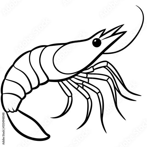 vector illustration of shrimp
