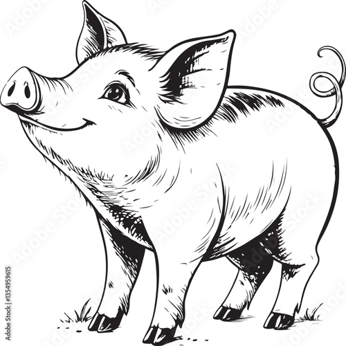 Piglet Pig Farm Animal Livestock Black and White Vector Illustration, Sketch Drawing Line Linear Engraving, Hand-drawn Isolated