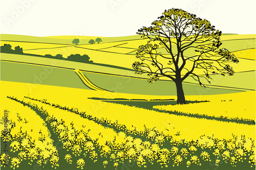 1 Vibrant yellow rapeseed field, lone tree, rolling landscape, bright spring colors, agricultural scenery, minimalist composition, striking contrast, golden meadow, serene countryside, blooming canola
