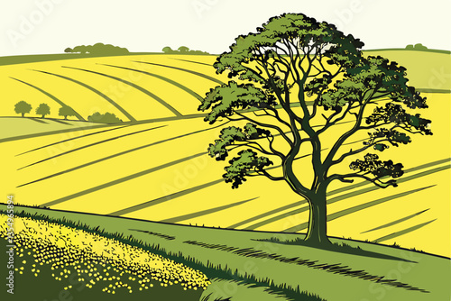 2 Vibrant landscape, lone tree in field, lush green wheat field, bright yellow rapeseed field, contrasting colors, rolling countryside, agricultural beauty, springtime scenery, minimalist composition,