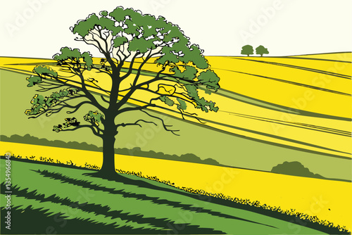 2 Vibrant landscape, lone tree in field, lush green wheat field, bright yellow rapeseed field, contrasting colors, rolling countryside, agricultural beauty, springtime scenery, minimalist composition,