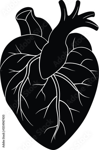 Heart Anatomy Illustration, Black and White Silhouette, Isolated on White Background