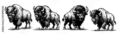 american bisons in different poses black vector sketch