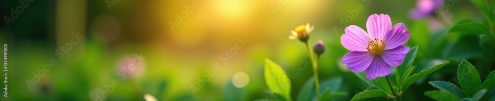 soft golden light highlights the delicate purple blooms amidst lush green foliage, leafy greens, botanical, soft light soft golden light highlights the delicate purple blooms amidst lush green foliage, leafy greens, botanical, soft light