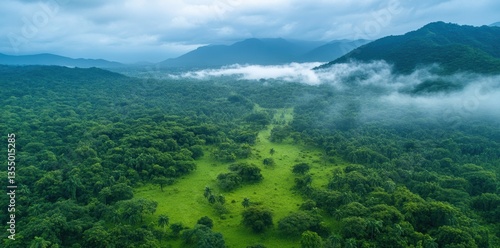 Aerial View of Lush Green Tropical Forest with Misty Mountains