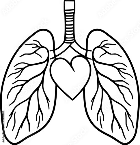 Outline of lungs with a heart minimal respiratory medical vector design.