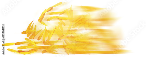 Illustration of yellow rice petals on white background with space for text