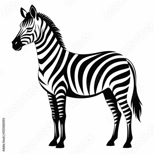 Photography zebra vector illustration