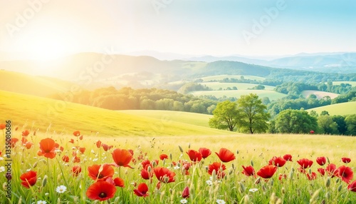Poppy flowers blooming in vibrant colors against a scenic landscape  