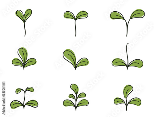 Green plant sprout with rounded leaves set. Seedling and planting design elements. Isolated vector images