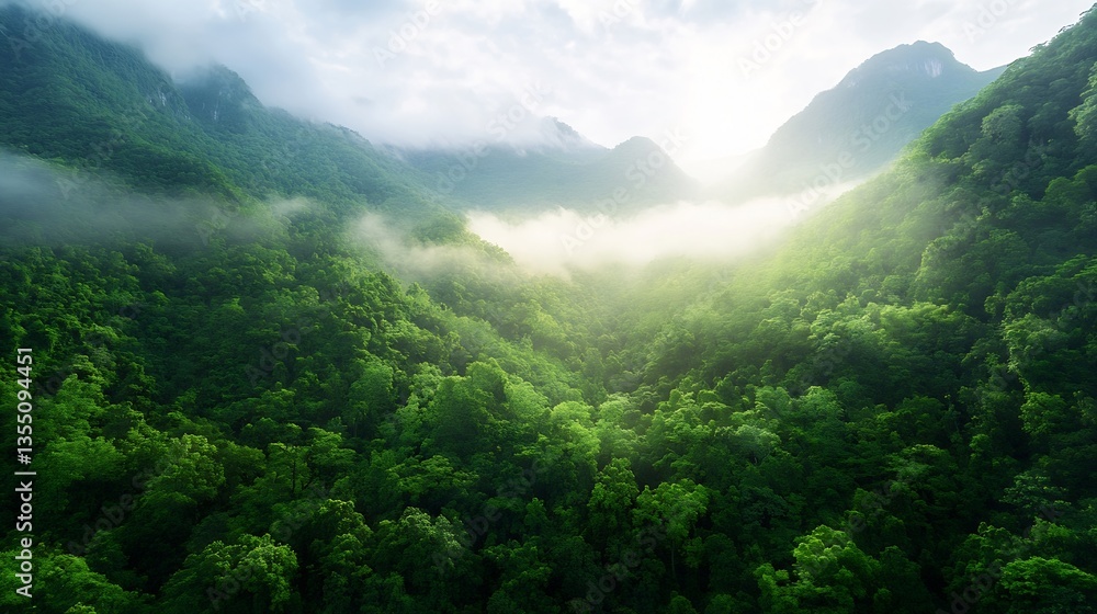 Obraz premium Breathtaking aerial view of lush green mountains shrouded in mist capturing the beauty of nature's untouched wilderness : Generative AI