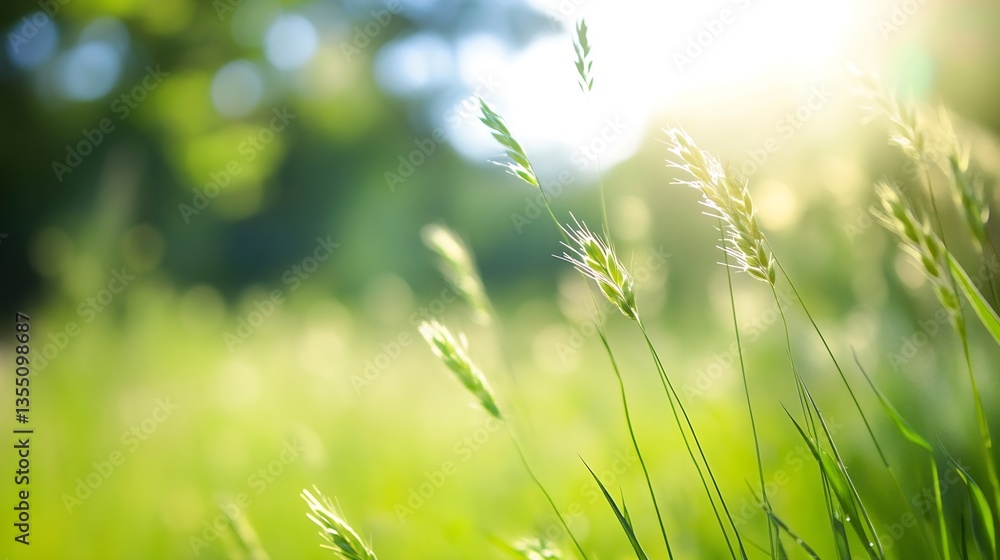 Beautiful close up of green grass swaying gently under the warm sunlight in a serene environment : Generative AI Beautiful close up of green grass swaying gently under the warm sunlight in a serene environment : Generative AI