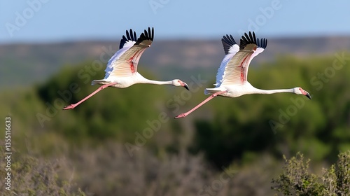 Graceful flamingos in flight above vibrant green wetlands under a clear blue sky : Generative AI
