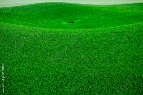 The green lawn for playing golf. The ideal green surface of a golf course is the primary requirement for such fields and one of the main conditions for opening a new course for golf competitions.