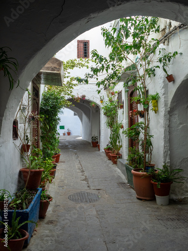Obraz na płótnie Tetouan medina street w salonie