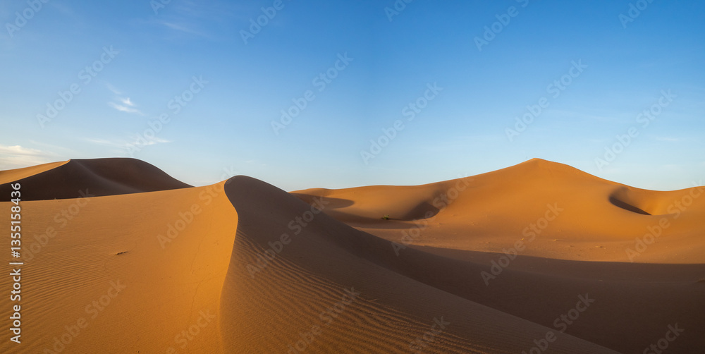 Gentel wavy sand dunes of Erg Chegaga, Morocco
