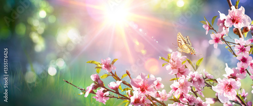Spring Blooming - Pink Blossoming Branch With Sunlight With Sunlight In Abstr...