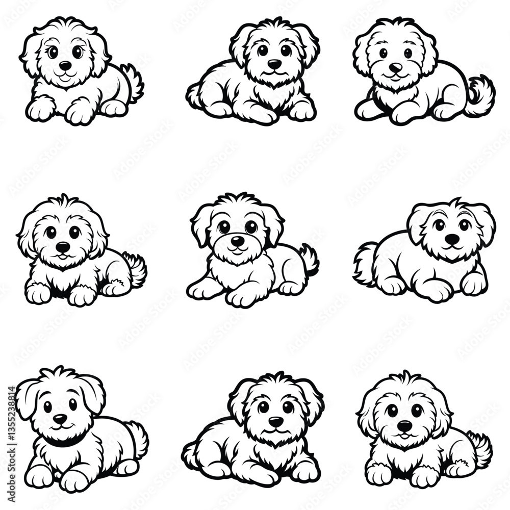 Bichon Frise Bichon Frise