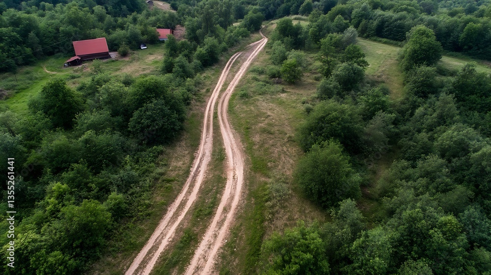 Fototapeta premium Aerial view of winding dirt road meandering through a lush green landscape with trees and fields : Generative AI