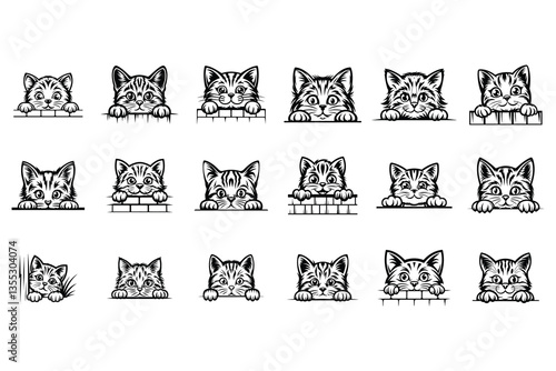 Peeking American Shorthair cat SVG Bundle