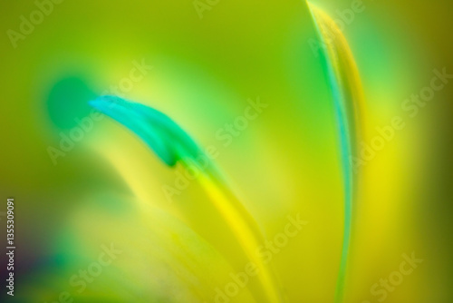 abstract green background with flowers