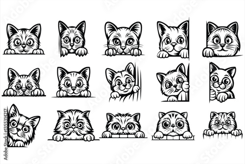 Peeking Exotic Shorthair cat  SVG Bundle